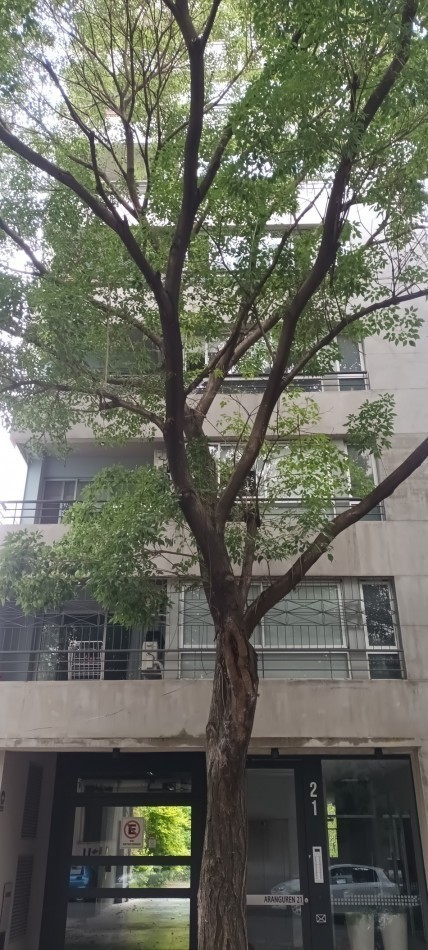 DEPARTAMENTO MONOAMBIENTE LUMINOSO EN VENTA EN CABALLITO,  PARQUE CENTENARIO . EDIFICIO MODERNO 